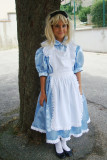 ALICE-68B