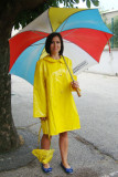 ANNEE-60-48P