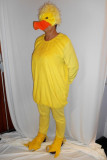CANARD-60U