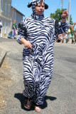 ZEBRE-60M