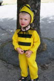 ABEILLE-55A