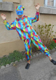 ARLEQUIN-4F1