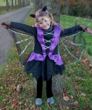 CHAUVE-SOURIS-2L1