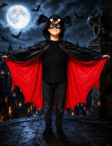 CHAUVE-SOURIS-2L2