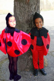 COCCINELLE-54B
