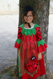 COCCINELLE-54G
