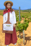 PROVENCE-8M