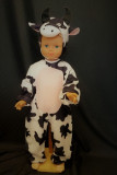VACHE-47B