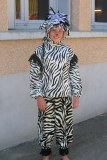 ZEBRE-48E